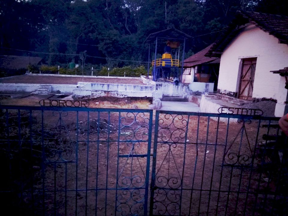 Photo of From the days of caffeinated air, starry paths, dreamy evenings & family warmth! Coorg! 42/47 by Swa-T