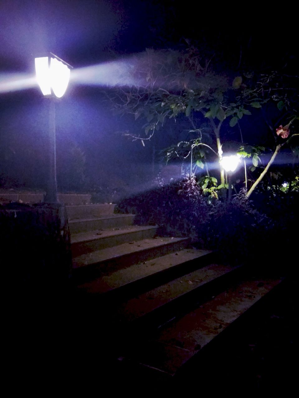 Photo of From the days of caffeinated air, starry paths, dreamy evenings & family warmth! Coorg! 43/47 by Swa-T