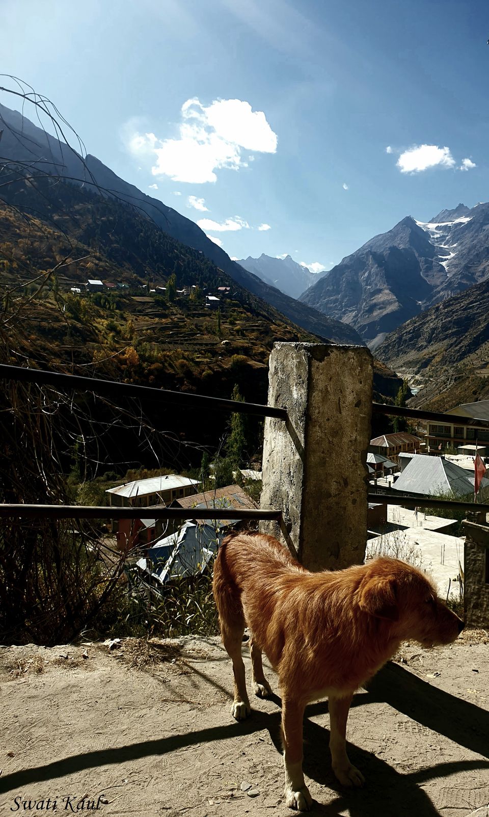 Photo of Keylong, Himachal Pradesh, India by Swa-T