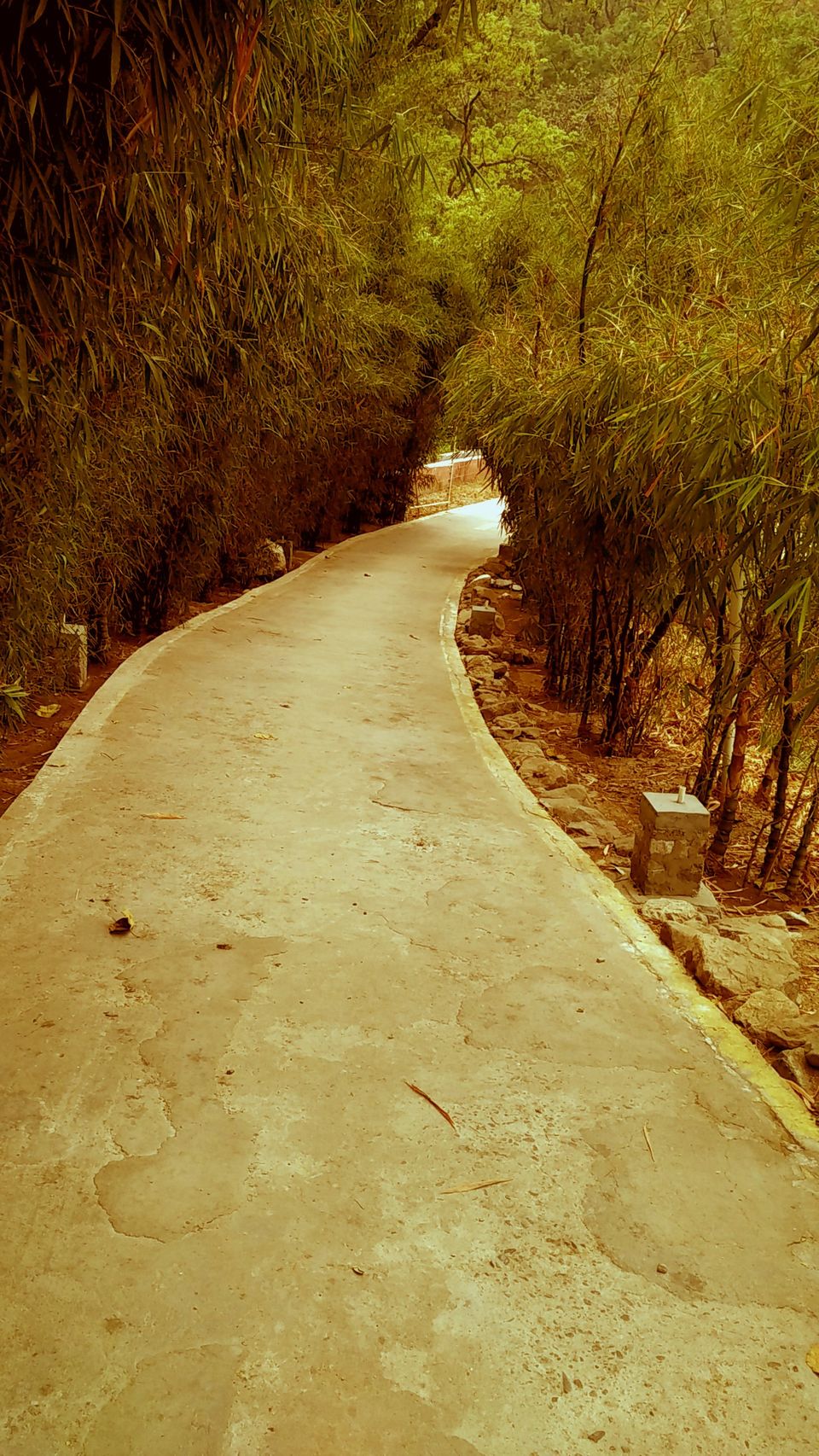 Photo of Of solitary walks and much more... 13/82 by Swa-T