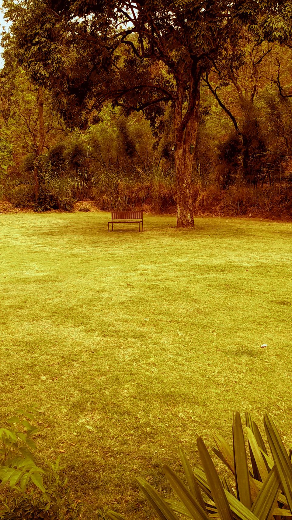 Photo of Of solitary walks and much more... 22/82 by Swa-T
