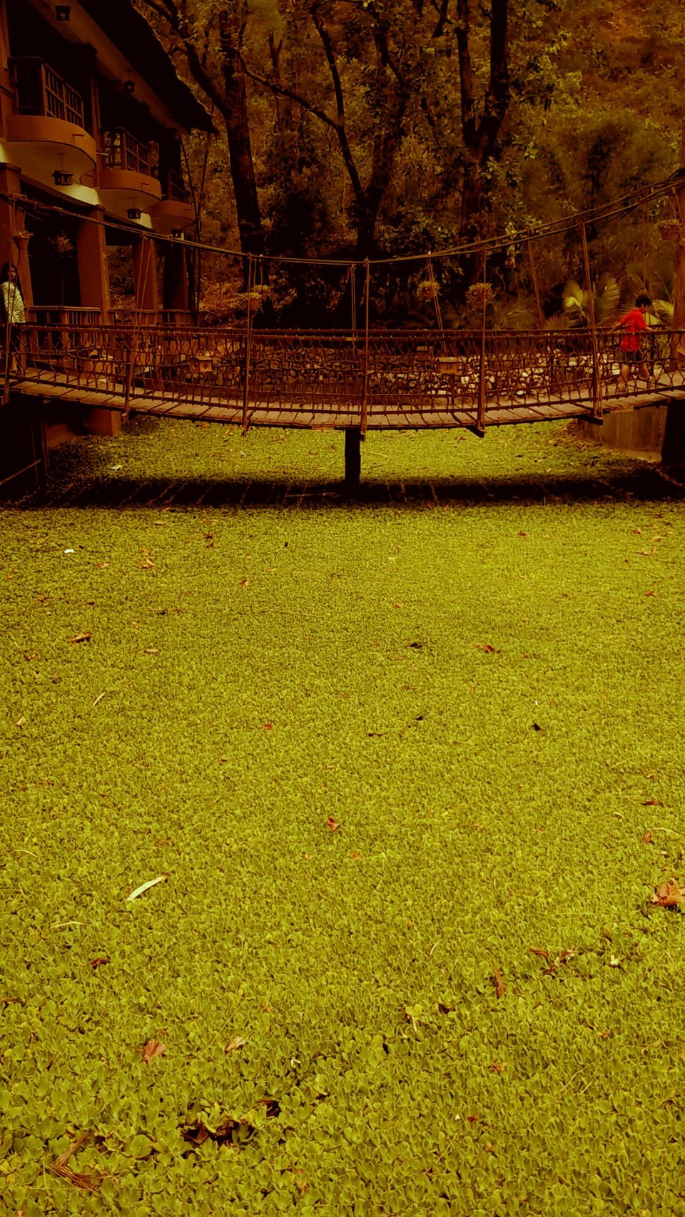 Photo of Of solitary walks and much more... 29/82 by Swa-T