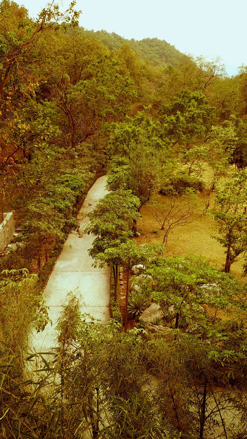 Photo of Of solitary walks and much more... 39/82 by Swa-T