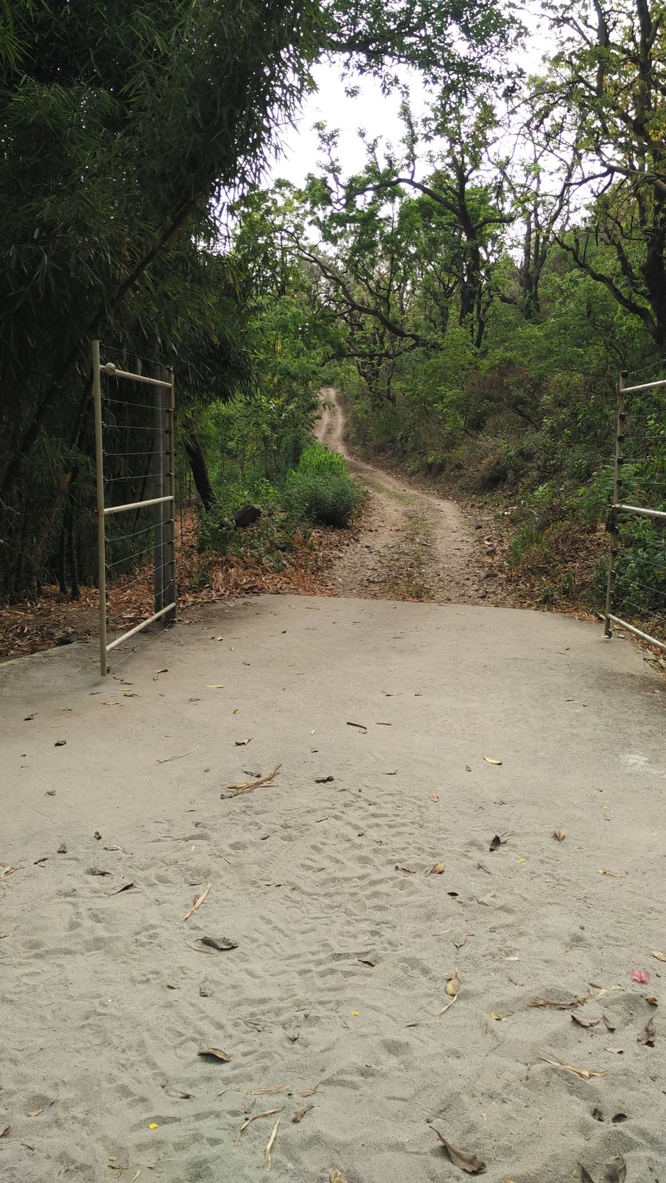 Photo of Of solitary walks and much more... 48/82 by Swa-T