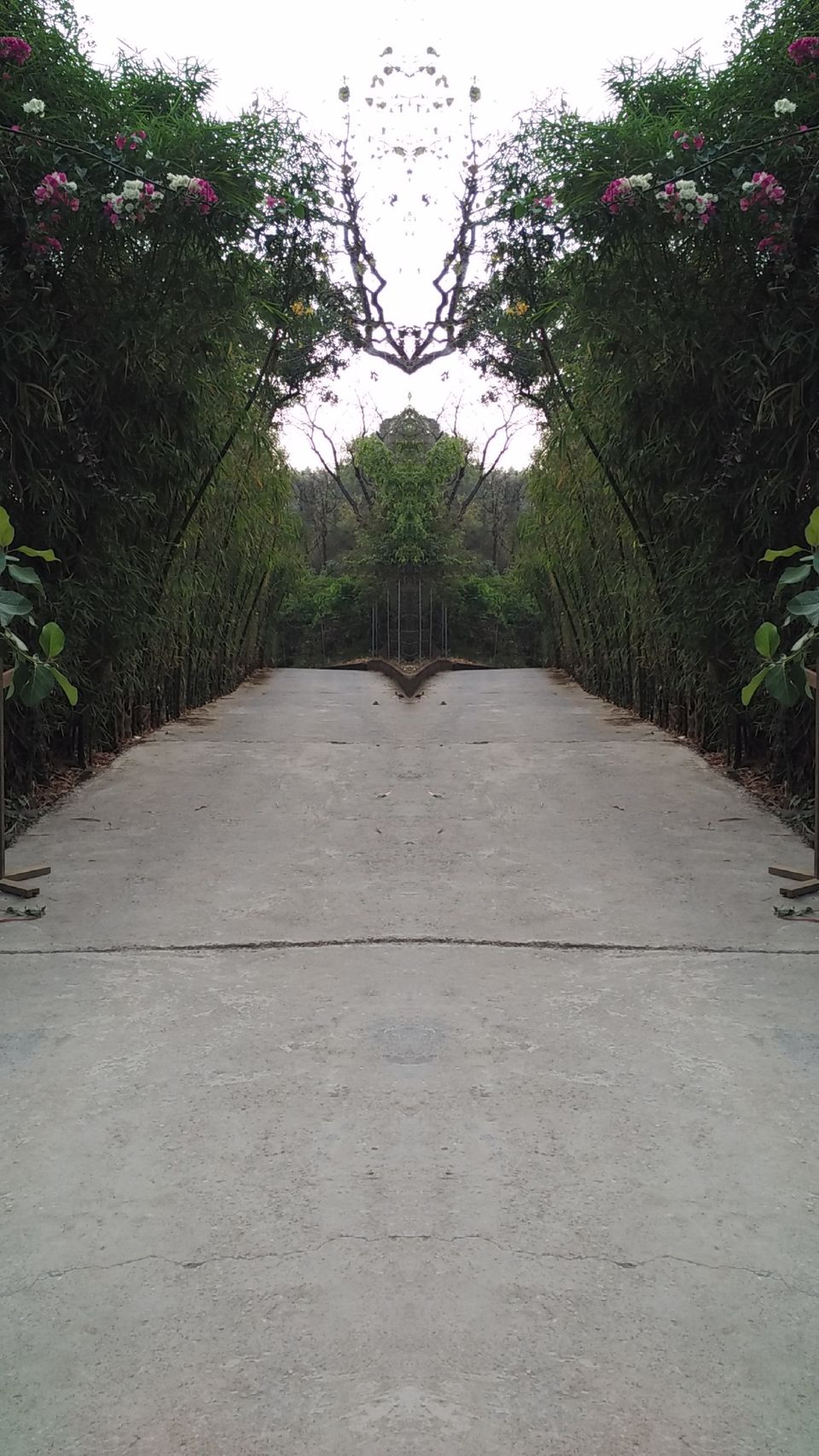 Photo of Of solitary walks and much more... 72/82 by Swa-T