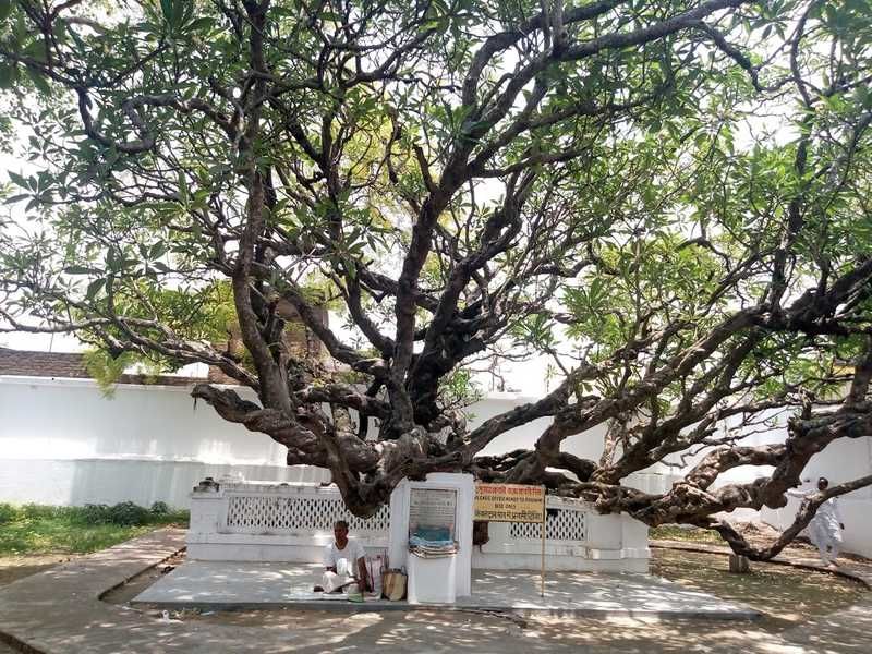Photo of নদিয়া জেলার ঐতিহাসিক স্থান ও তার বিবরণ... কিছু দিনের ছুটি নিয়ে নিঃসন্দেহে বেরিয়ে পড়তে পারেন by Deya Das