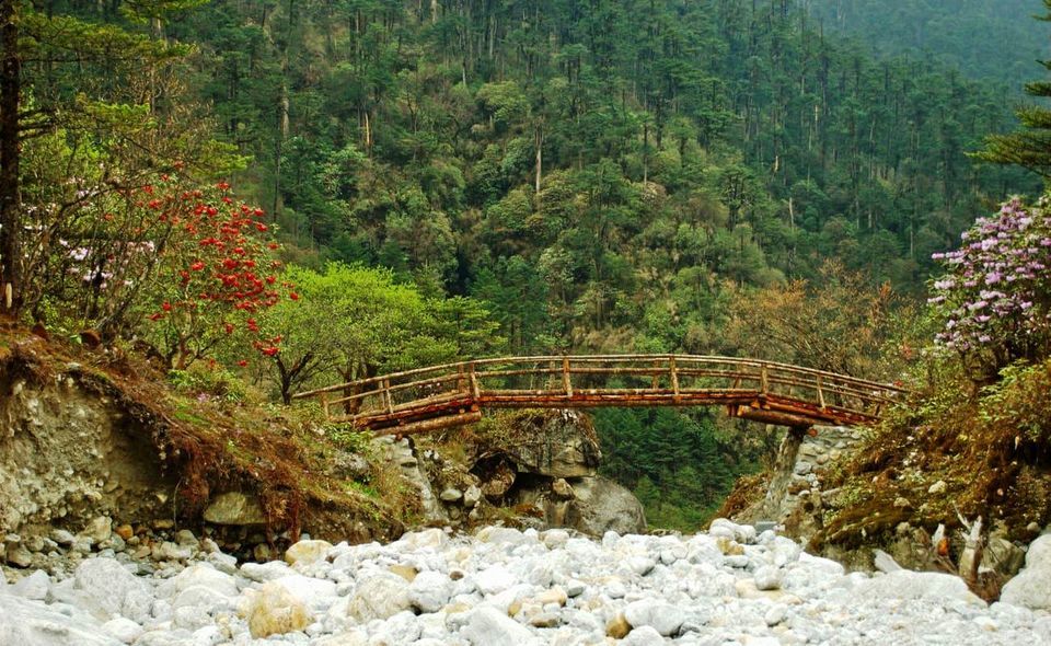 Photo of Darjeeling, West Bengal, India by Deya Das