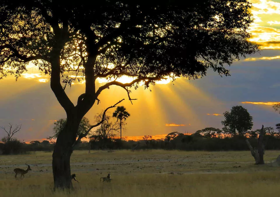 Photo of Zimbabwe by Deya Das