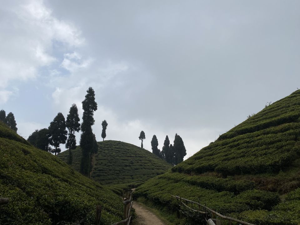 Photo of Darjeeling, West Bengal, India by Deya Das