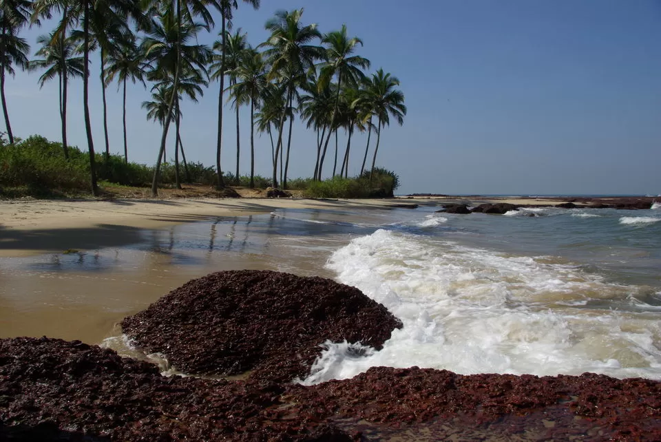 Photo of Bhogwe, Maharashtra, India by Deya Das