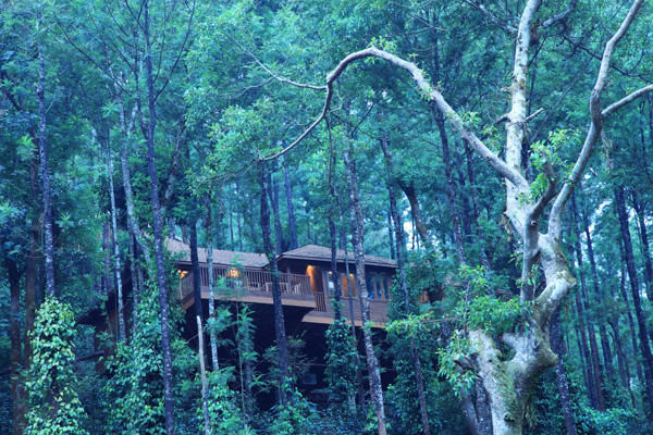 Photo of Coorg, Karnataka, India by Deya Das