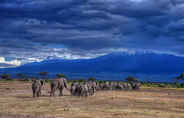 Photo of Kenya by Deya Das