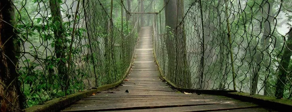 Photo of Lolegaon, West Bengal, India by Deya Das