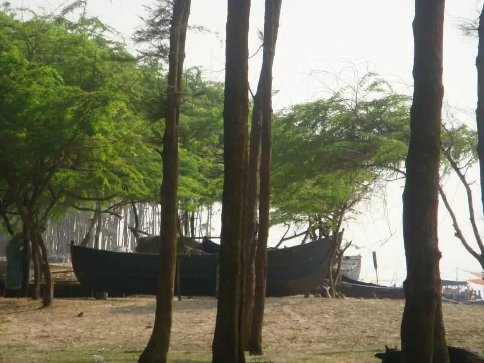 Photo of Tajpur, West Bengal, India by Deya Das