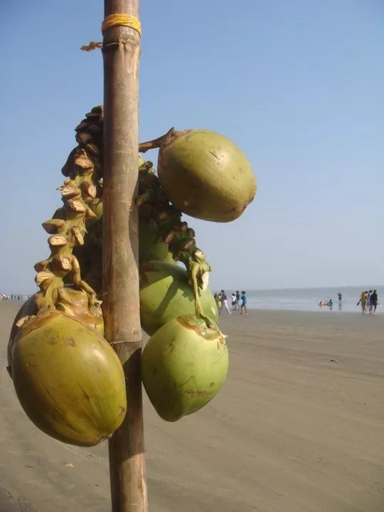Photo of Mandarmani, West Bengal, India by Deya Das