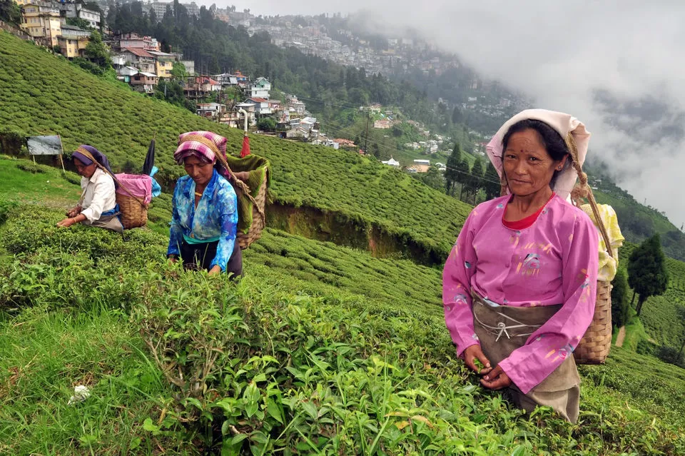 Photo of Takdah, West Bengal, India by Deya Das