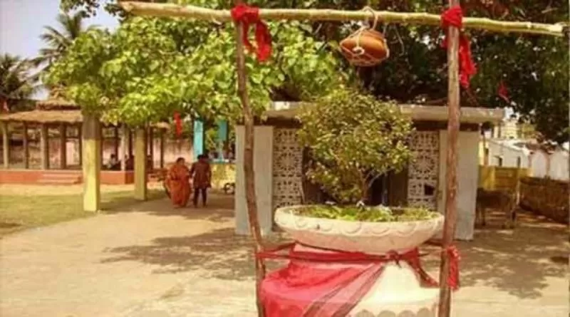 Photo of Bihar, India by Deya Das