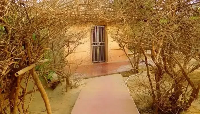 Photo of Nidhivan, Vrindavan, Gopinath Bagh, Vrindavan, Uttar Pradesh, India by Deya Das