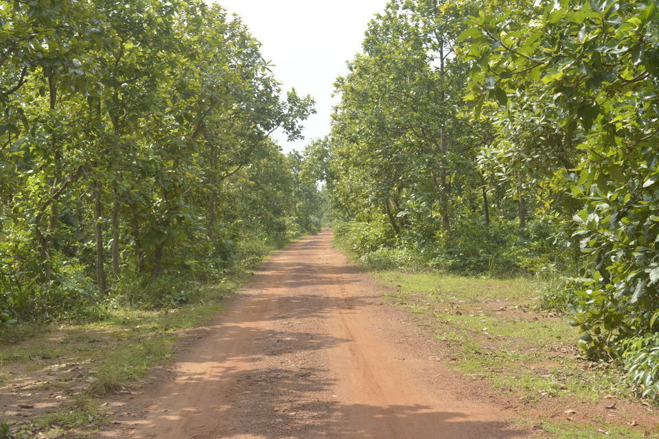 Photo of Illambazar, West Bengal, India by Deya Das