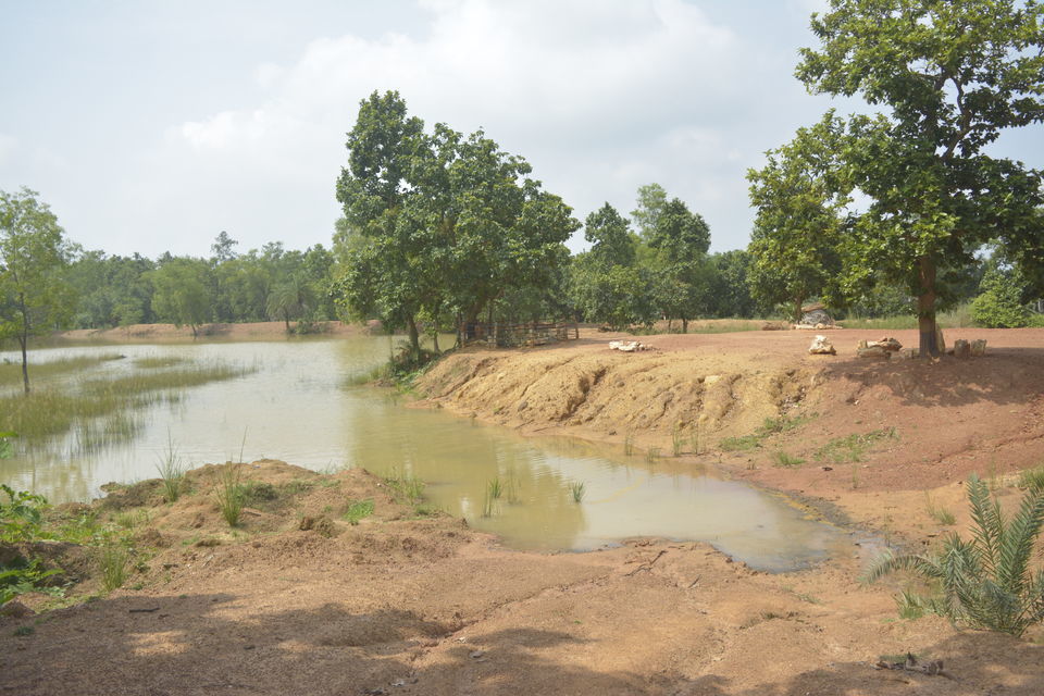 Photo of Illambazar, West Bengal, India by Deya Das