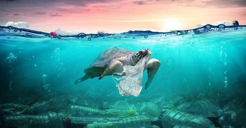 Photo of দূষণমুক্ত হোক সমুদ্রের জল! আন্তর্জাতিক মহাসাগর দিবসে এটাই একমাত্র পরিকল্পনা 8/11 by Deya Das