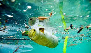 Photo of দূষণমুক্ত হোক সমুদ্রের জল! আন্তর্জাতিক মহাসাগর দিবসে এটাই একমাত্র পরিকল্পনা 3/11 by Deya Das