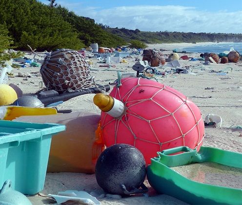 Photo of দূষণমুক্ত হোক সমুদ্রের জল! আন্তর্জাতিক মহাসাগর দিবসে এটাই একমাত্র পরিকল্পনা 10/11 by Deya Das