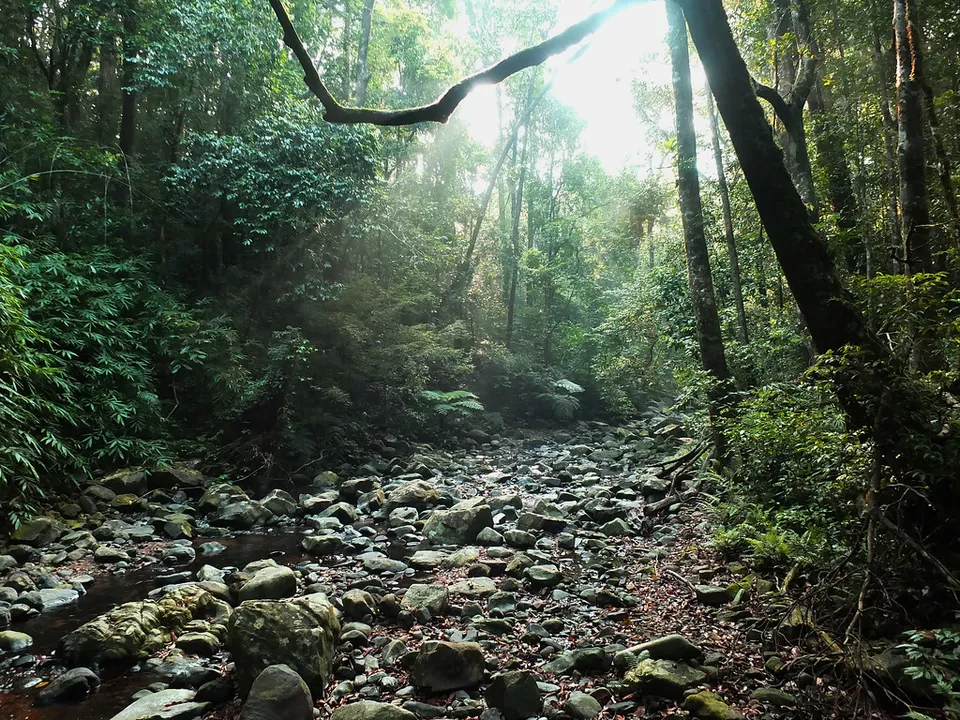 Photo of Pushpagiri Forest Office, Kumara Parvatha Mountain Road, Kumarahalli, Karnataka, India by Deya Das