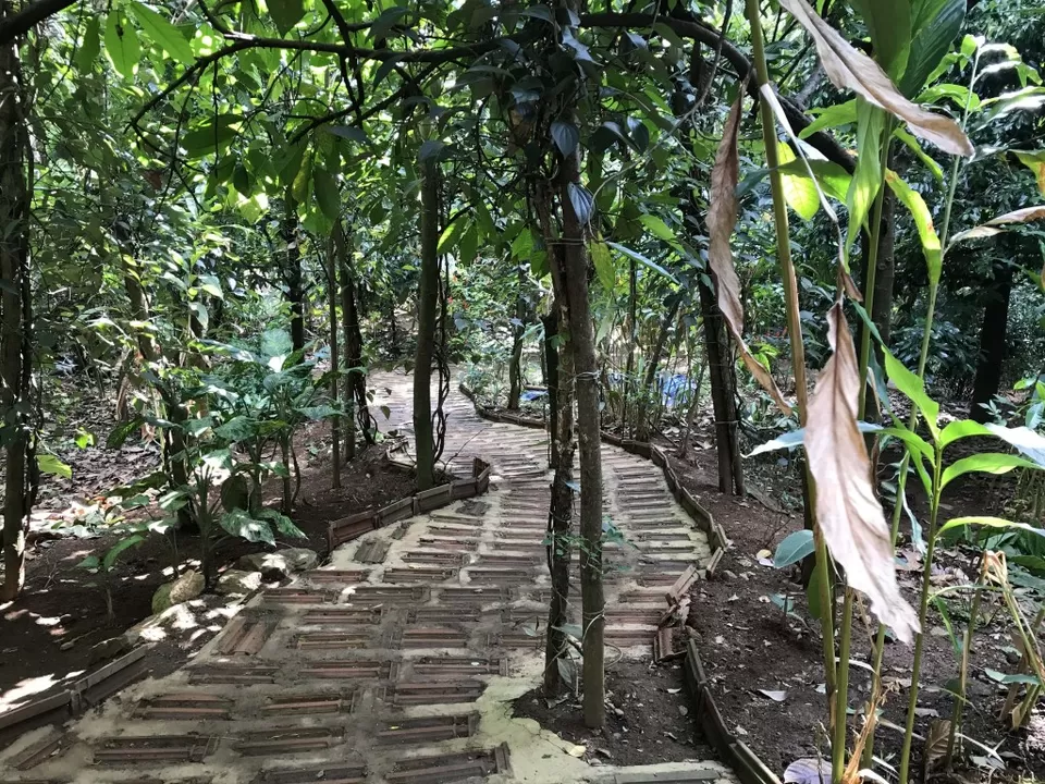 Photo of Green Land Spice Garden, Springvalley, Periyar, Kerala, India by Deya Das