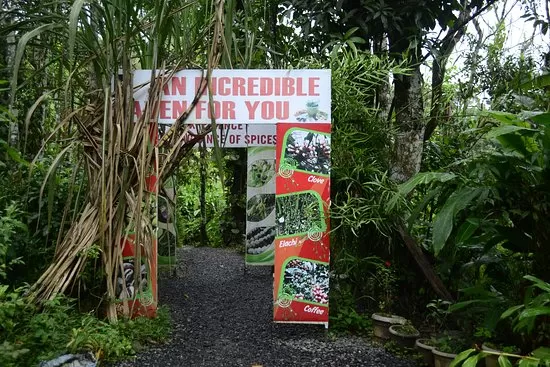 Photo of Anakkara spice garden, Munnar-Kumily Highway, Anakkara, Kerala, India by Deya Das