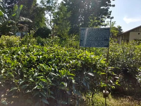 Photo of Kakochang Water Falls Carparking Area, Assam, India by Deya Das