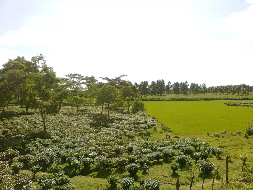 Photo of Sibsagar, Assam, India by Deya Das