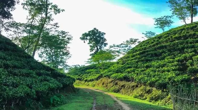Photo of Digboi, Assam, India by Deya Das