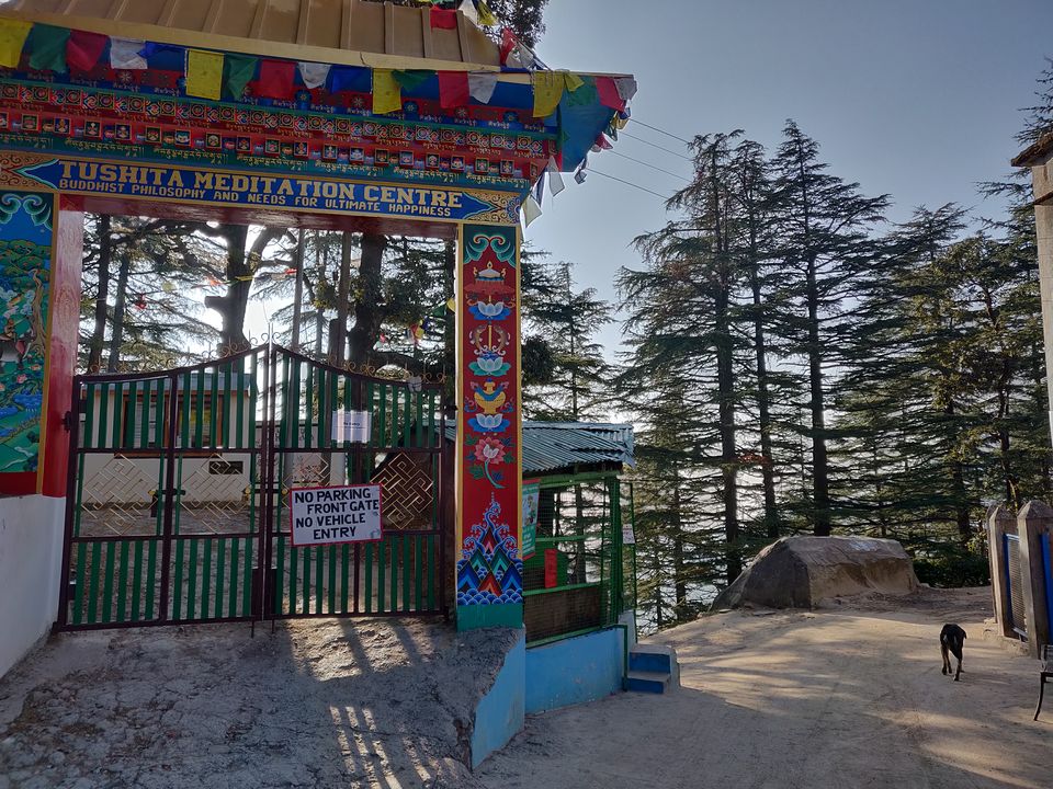 Photo of Divine Dharamshala - the abode of god. H.H Dalai Lama #mcleodganj #TriundTrek #dharamshalastadium by Confusedwanderer