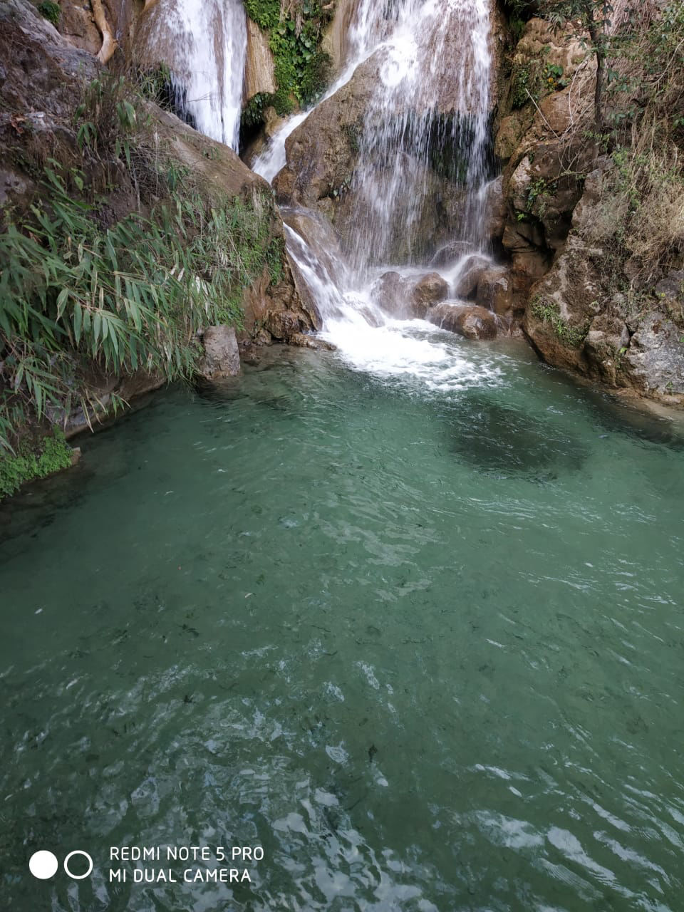 Photo of Weekend Trip To Rishikesh by Nisha