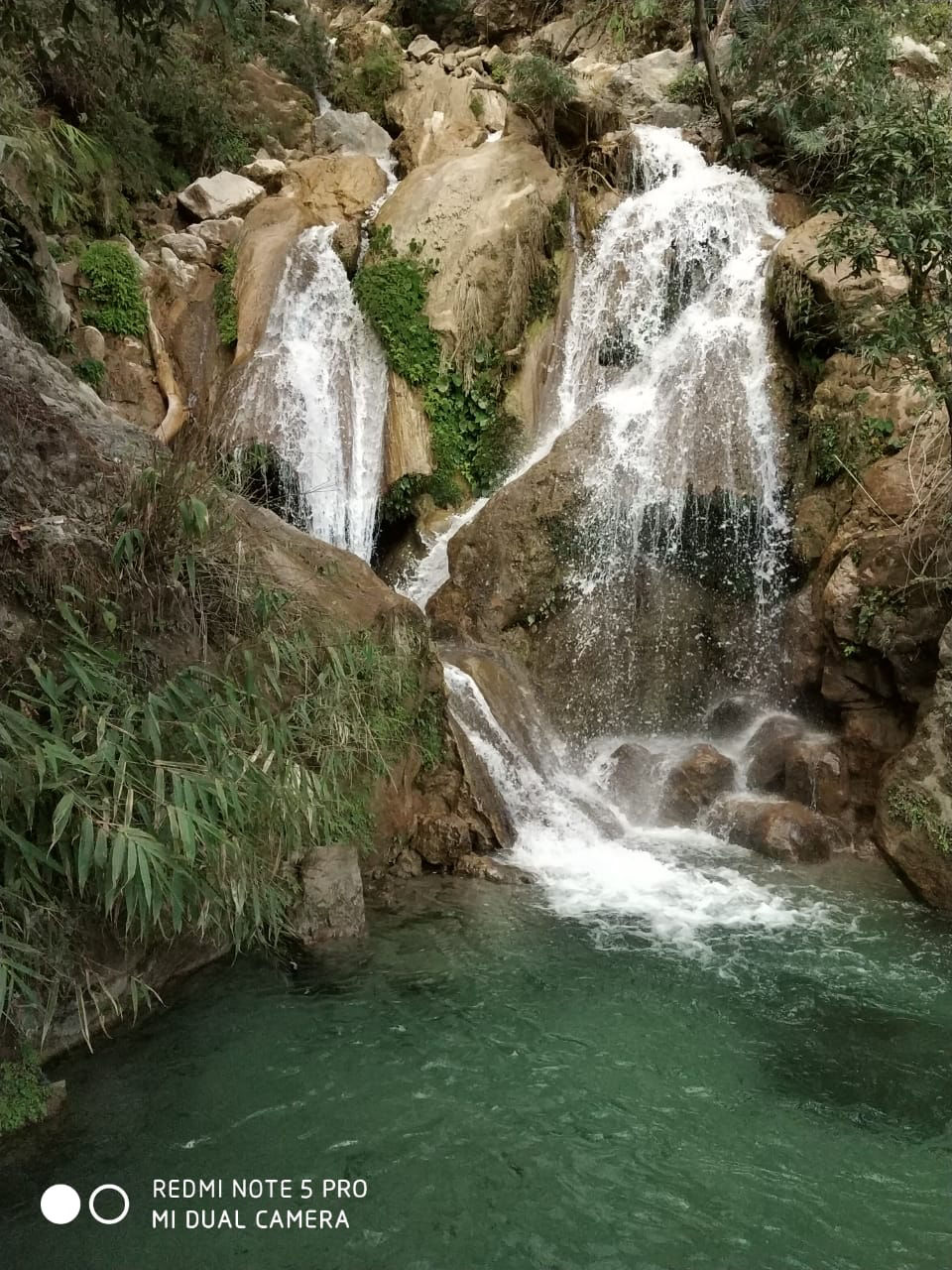 Photo of Weekend Trip To Rishikesh by Nisha