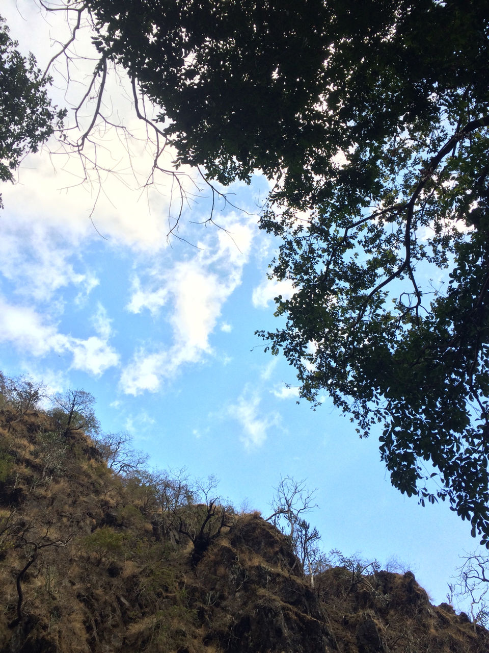 Photo of Weekend Trip To Rishikesh by Nisha