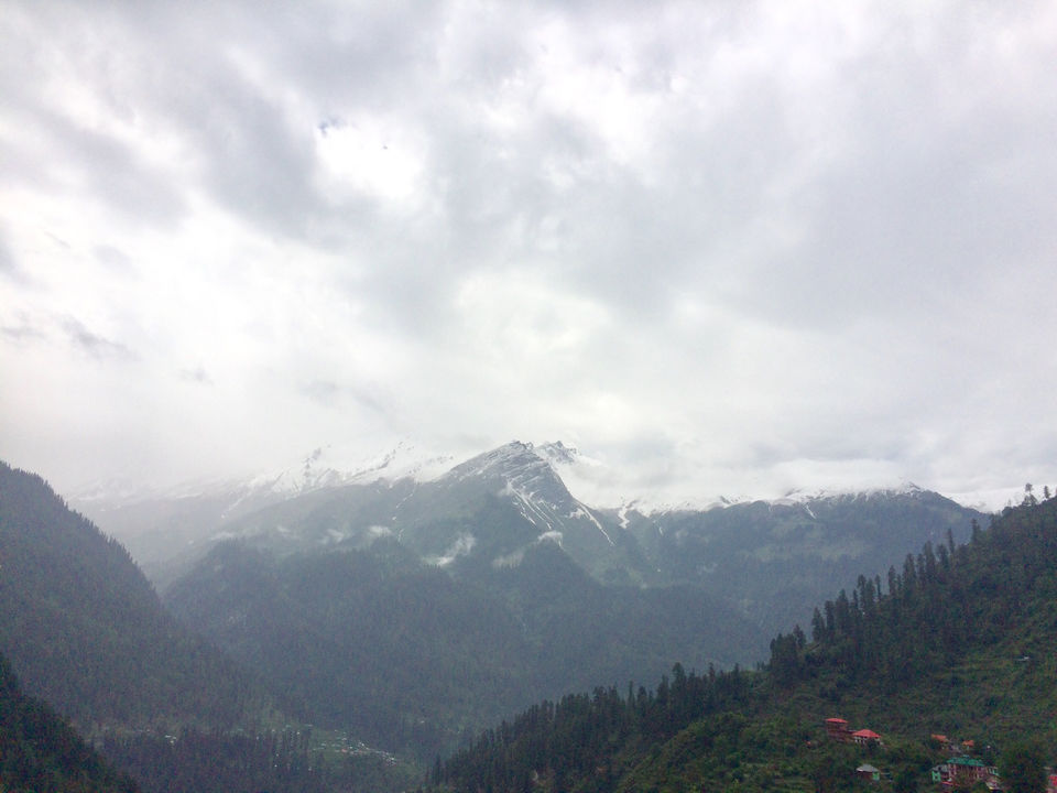 Photo of Trip To Trippy Tosh by Nisha