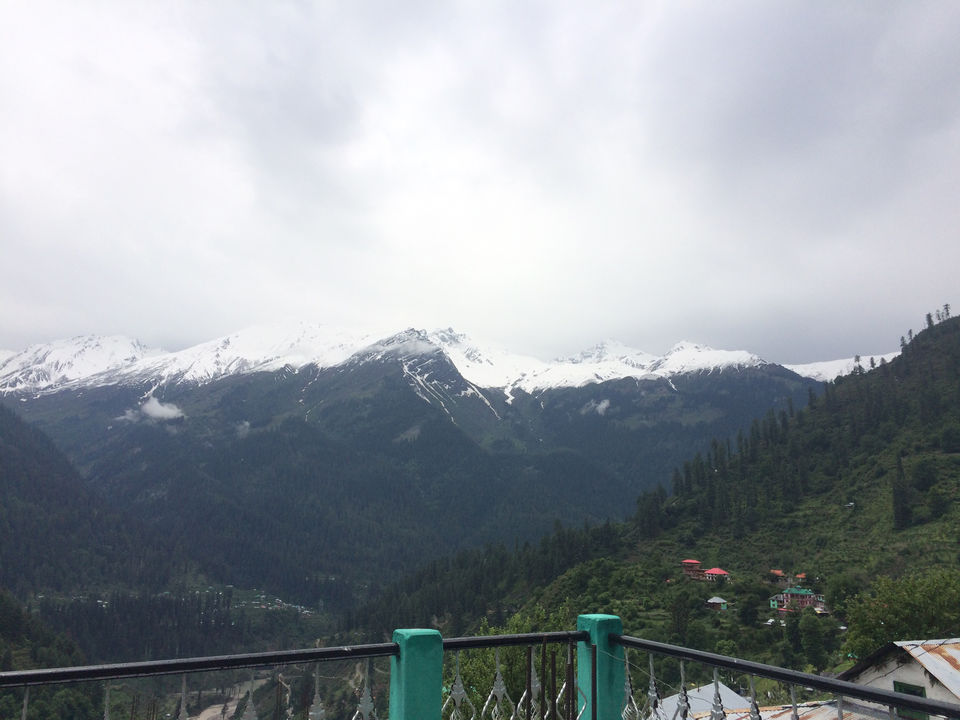 Photo of Trip To Trippy Tosh by Nisha