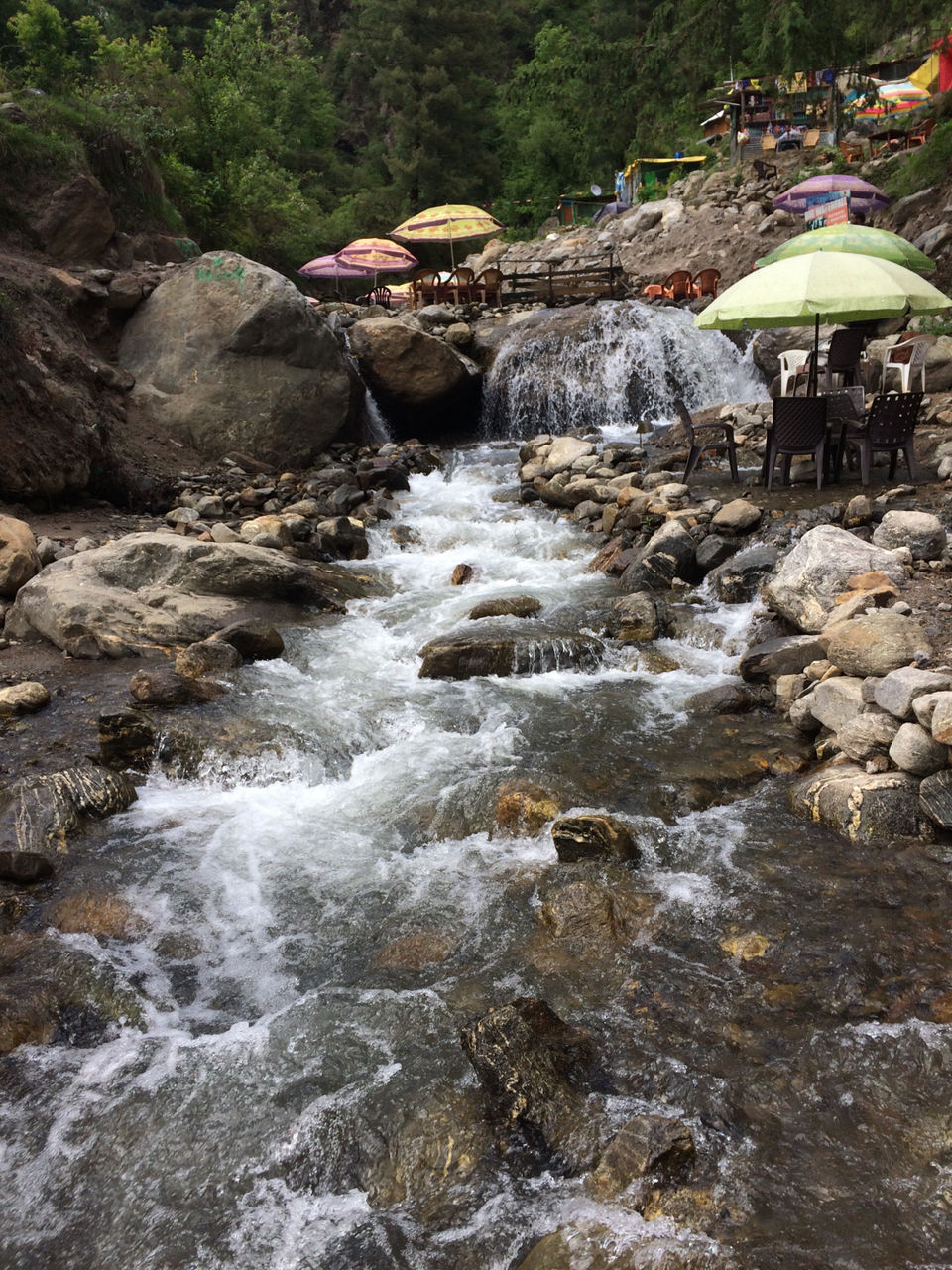 Photo of Trip To Trippy Tosh by Nisha