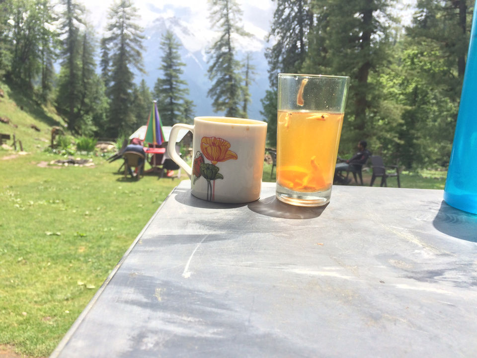 Photo of Trip To Trippy Tosh by Nisha