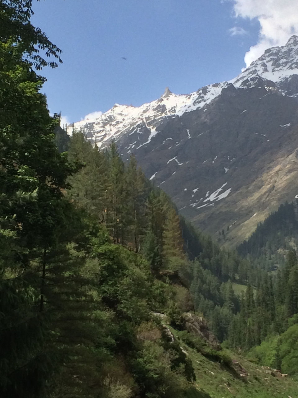 Photo of Trip To Trippy Tosh by Nisha