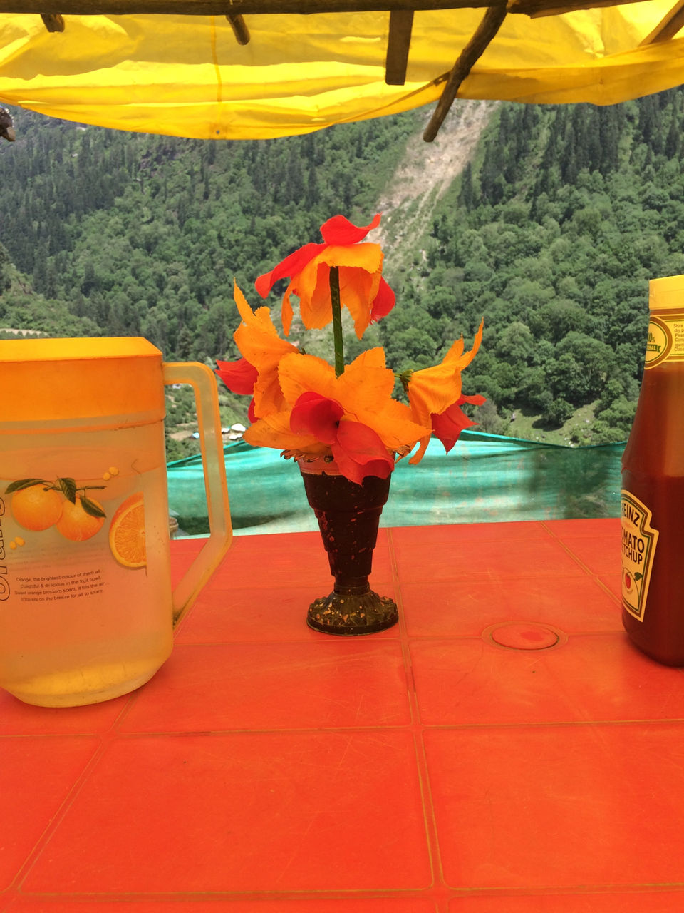 Photo of Trip To Trippy Tosh by Nisha