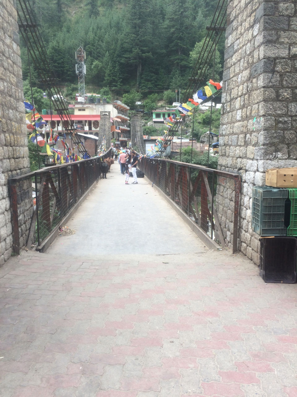 Photo of Trip To Trippy Tosh by Nisha