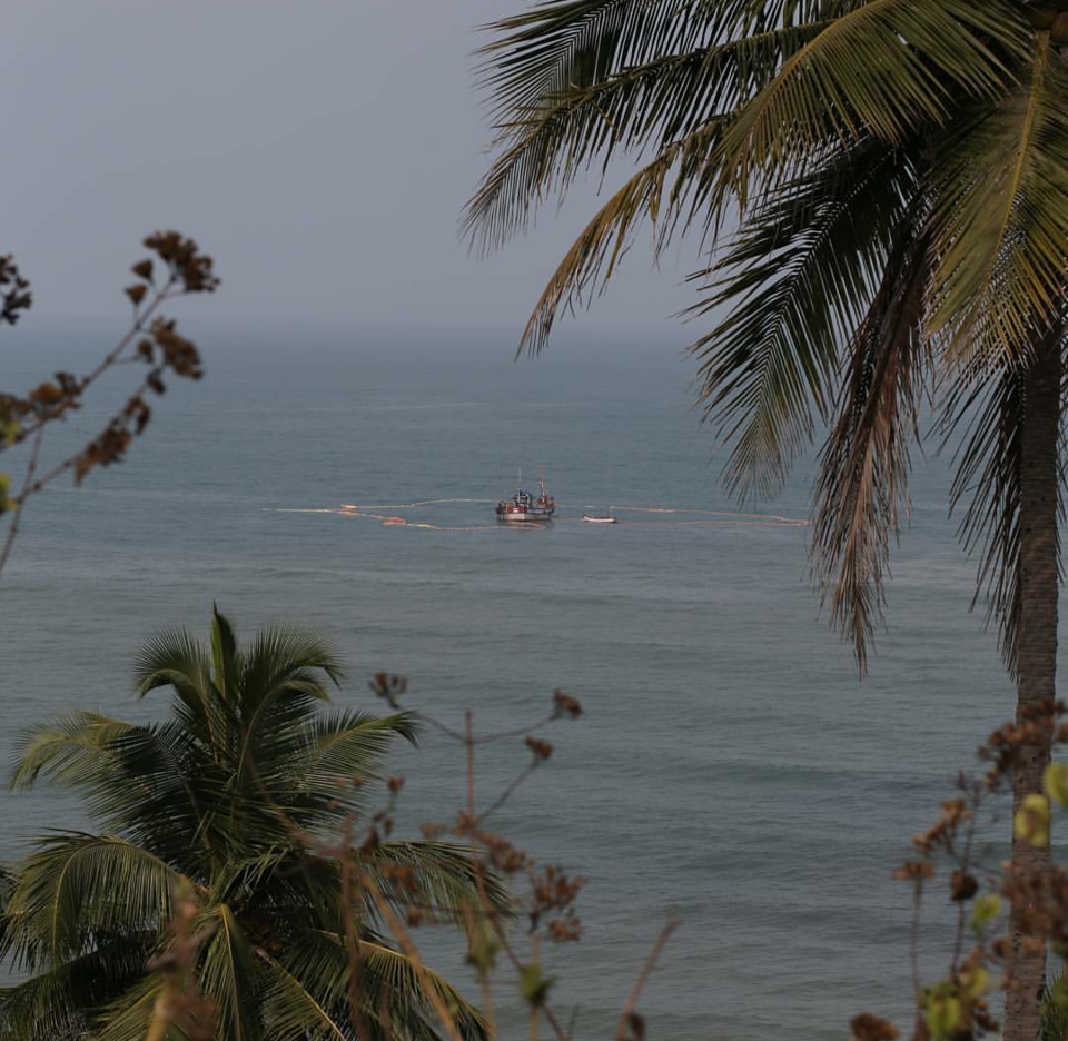 Photo of Goa: Beyond the New Year Parties 3/8 by Mihir Desai