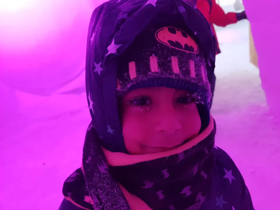 Photo of A Mom’s Journey To The Arctic Circle/Lapland With Her 4 Year Old by Rekha Nagarajan