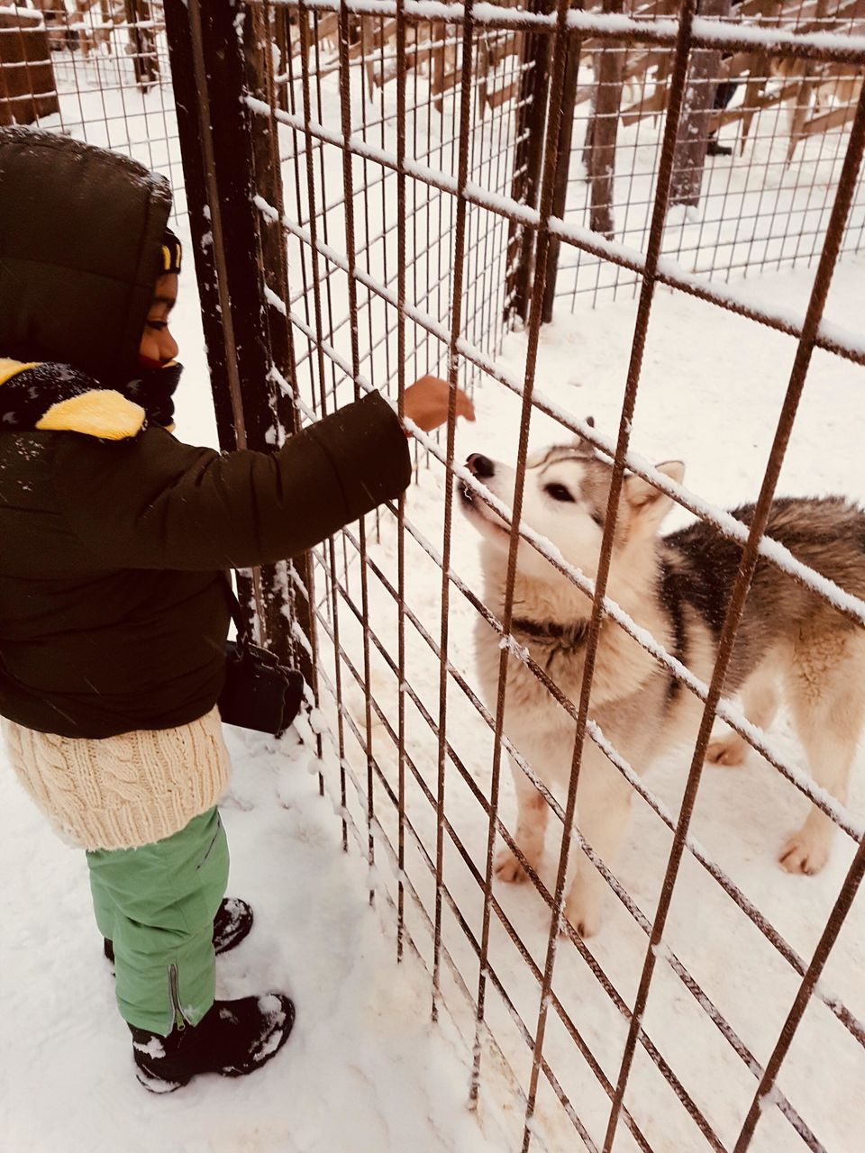 Photo of A Mom’s Journey To The Arctic Circle/Lapland With Her 4 Year Old by Rekha Nagarajan