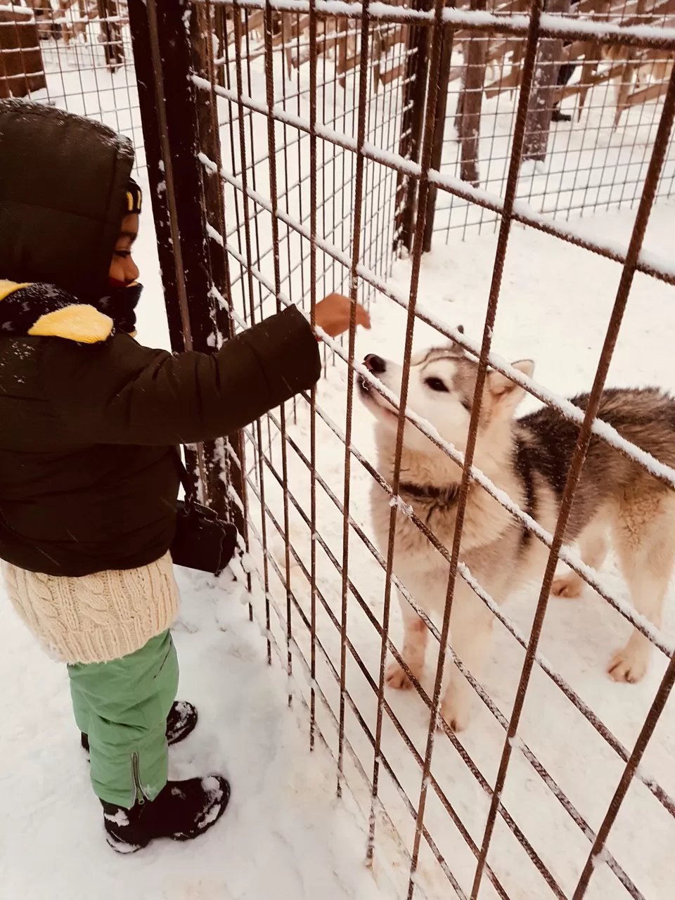 Photo of A Mom’s Journey To The Arctic Circle/Lapland With Her 4 Year Old by Rekha Nagarajan