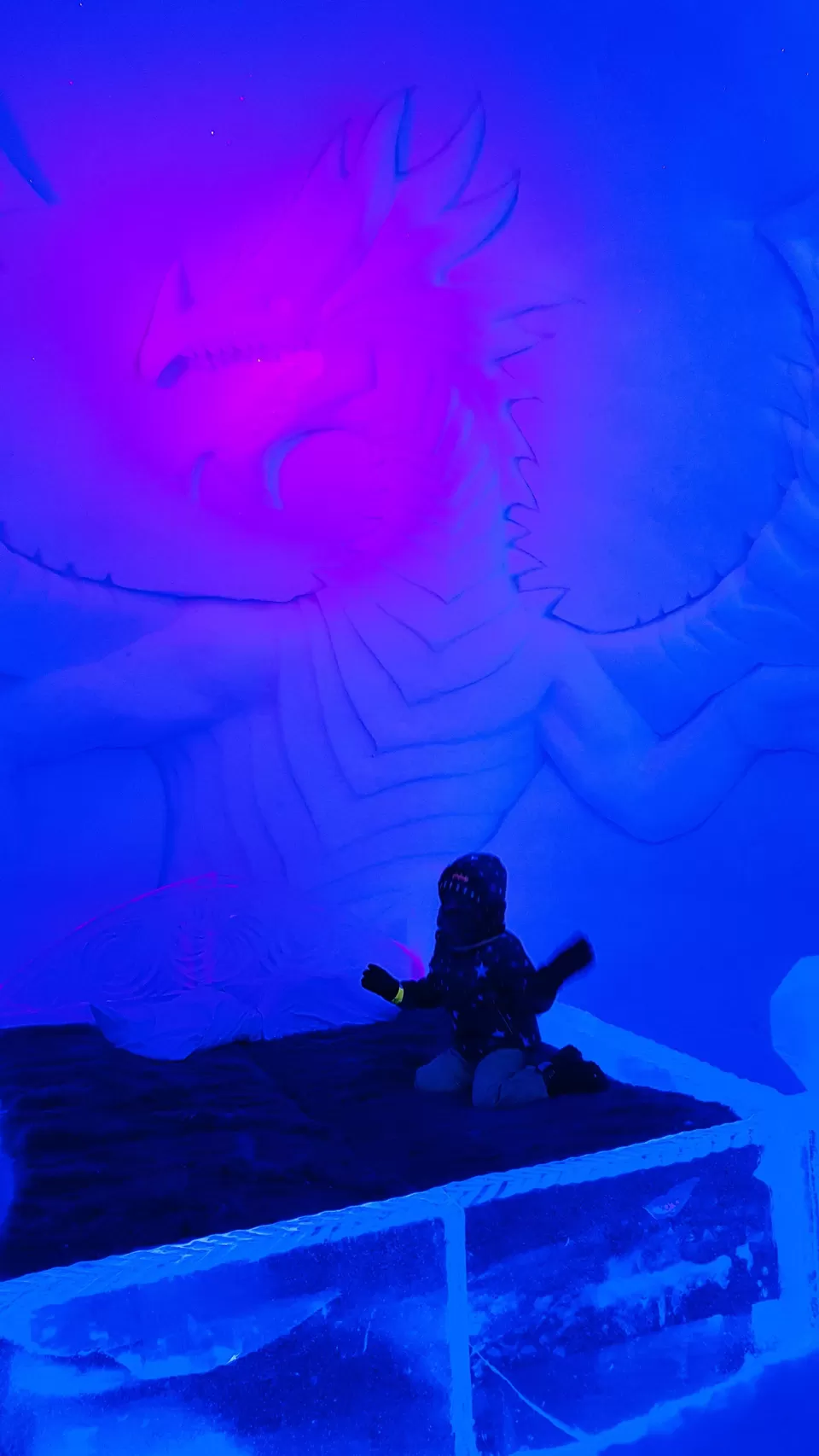 Photo of A Mom’s Journey To The Arctic Circle/Lapland With Her 4 Year Old by Rekha Nagarajan