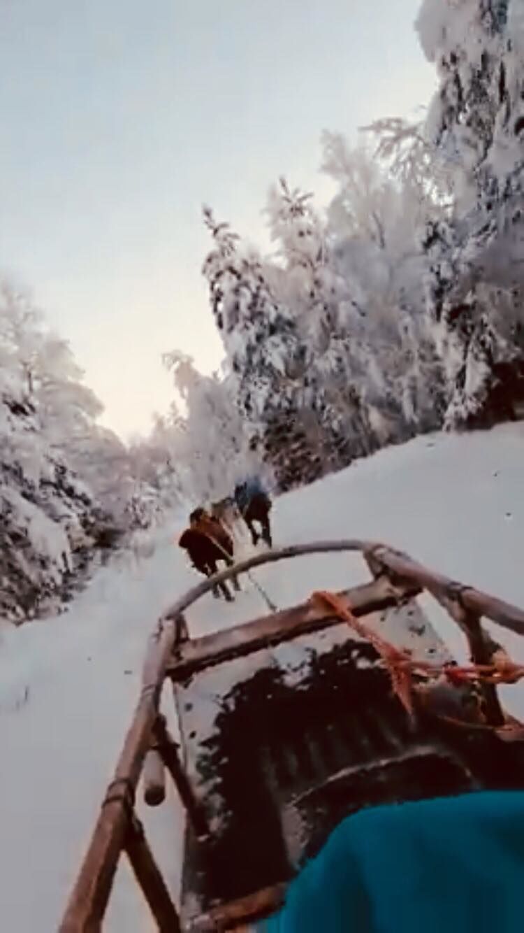 Photo of A Mom’s Journey To The Arctic Circle/Lapland With Her 4 Year Old by Rekha Nagarajan